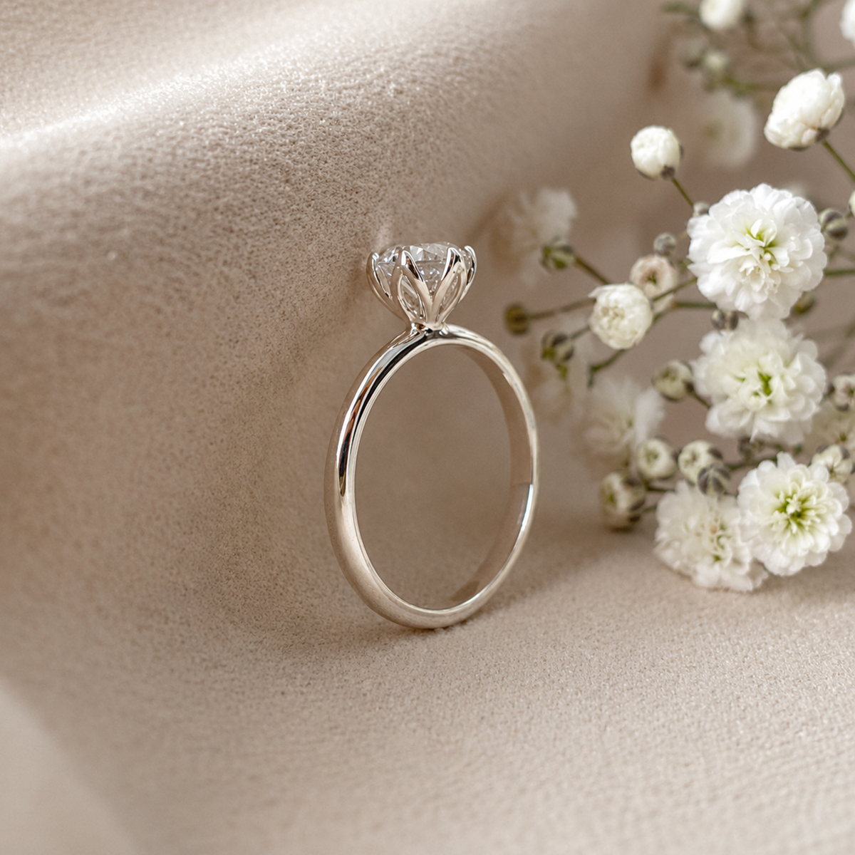 Anillo Lotto