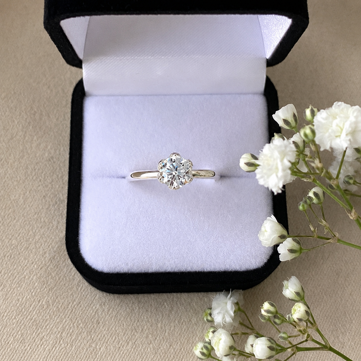 Anillo Lotto