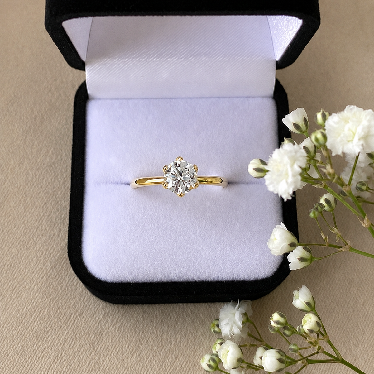 Anillo Lotto